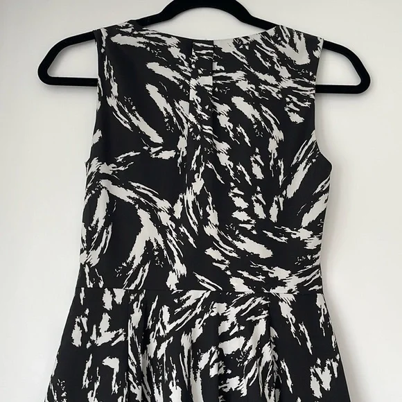 Express Dress - Picture 5 of 5